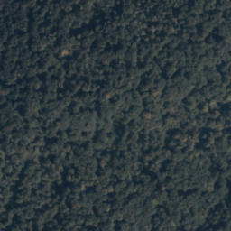 Satellite imagery of survey_point, PL
