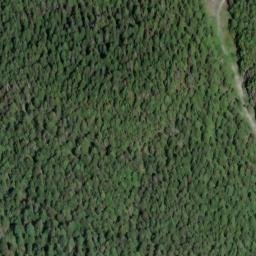 Satellite imagery of Mount Crickmer, CA