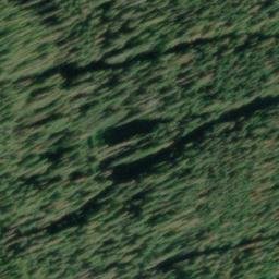 Satellite imagery of Mount Devoy, CA