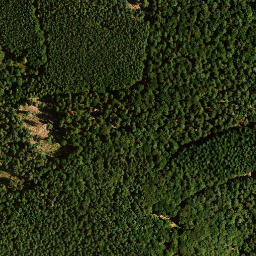 Satellite imagery of Schafkopf, DE