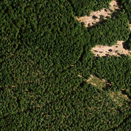 Satellite imagery of Schafkopf, DE