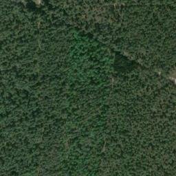 Satellite imagery of Schellenberg, DE