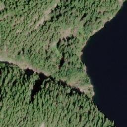 Satellite imagery of Rhino Peak, CA