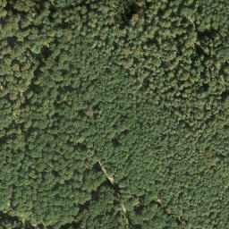 Satellite imagery of Eschkopf, DE