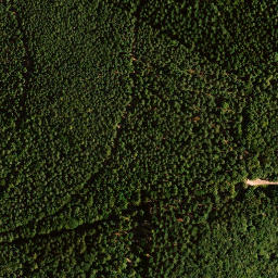 Satellite imagery of Morschenberg, DE