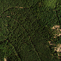 Satellite imagery of Schafkopf, DE