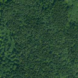 Satellite imagery of survey_point, PL