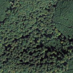 Satellite imagery of Hornbacher Eck, DE
