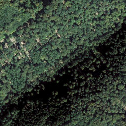 Satellite imagery of Widdershorn, DE