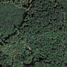 Satellite imagery of Hahnenkopf, DE