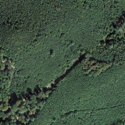 Satellite imagery of Hahnenkopf, DE