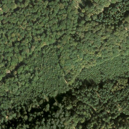 Satellite imagery of Eschkopf, DE