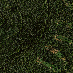 Satellite imagery of Morschenberg, DE