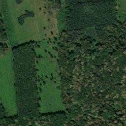 Satellite imagery of (Vitčický les), CZ