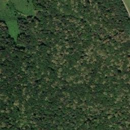 Satellite imagery of (Vitčický les), CZ