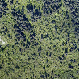 Satellite imagery of Mount Burke, CA