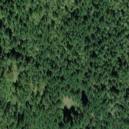 Satellite imagery of Bear Mountain, CA