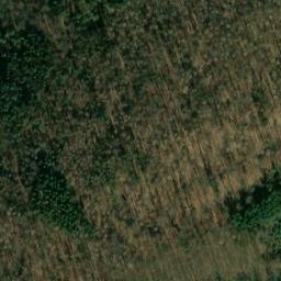 Satellite imagery of Schwarzborner Halde, DE