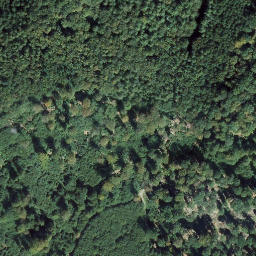 Satellite imagery of Widdershorn, DE