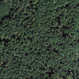 Satellite imagery of Hahnenkopf, DE