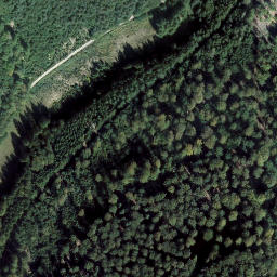 Satellite imagery of Hahnenkopf, DE