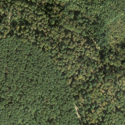 Satellite imagery of Mosisberg, DE