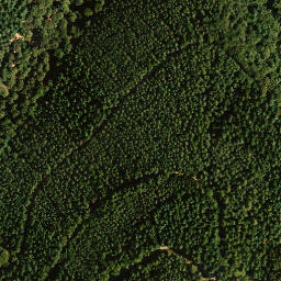 Satellite imagery of Steigerkopf, DE