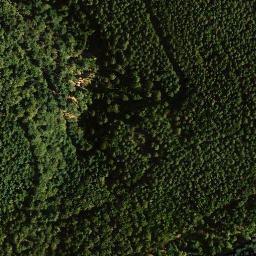 Satellite imagery of Steigerkopf, DE