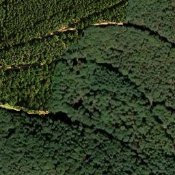 Satellite imagery of Morschenberg, DE