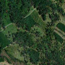 Satellite imagery of Sokolí [Sentice], CZ