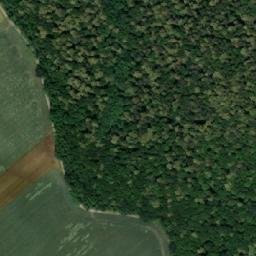 Satellite imagery of (Vitčický les), CZ