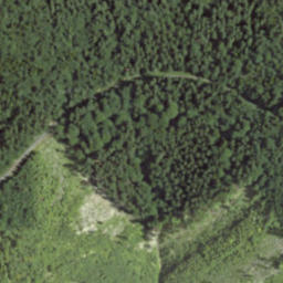 Satellite imagery of Javorník nad Minaříkem, CZ