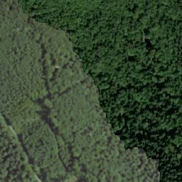 Satellite imagery of Javorník nad Minaříkem, CZ