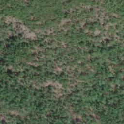 Satellite imagery of Wesley Ridge, CA