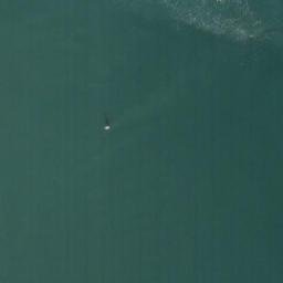 Satellite imagery of Brockton Point, CA
