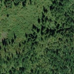 Satellite imagery of Bear Mountain, CA