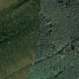 Satellite imagery of Reitersköpfchen, DE