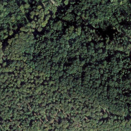 Satellite imagery of Kirchberg, DE