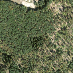 Satellite imagery of Mosisberg, DE