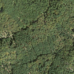 Satellite imagery of Mosisberg, DE