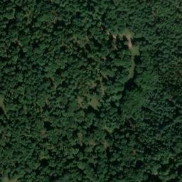 Satellite imagery of Erdbirnkopf, DE