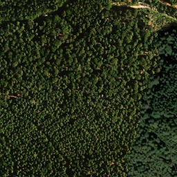Satellite imagery of Steigerkopf, DE