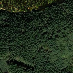 Satellite imagery of Steigerkopf, DE