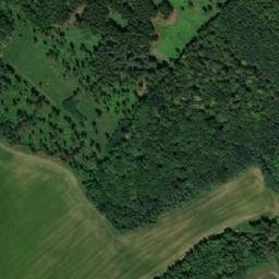 Satellite imagery of (Vitčický les), CZ