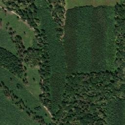 Satellite imagery of (Křenovický les) [Věžky], CZ