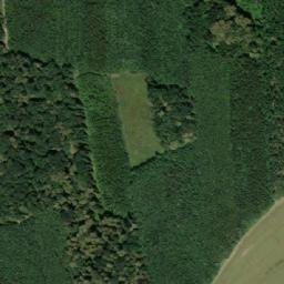 Satellite imagery of (Křenovický les) [Věžky], CZ