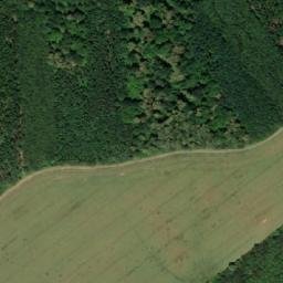 Satellite imagery of (Křenovický les) [Věžky], CZ