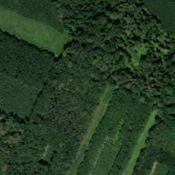 Satellite imagery of Bilanský les [Kroměříž-Bílany] HG, CZ