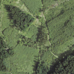 Satellite imagery of Javorník nad Minaříkem, CZ