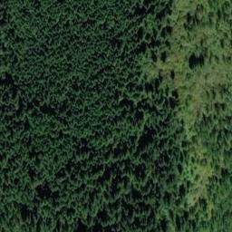 Satellite imagery of Bear Mountain, CA